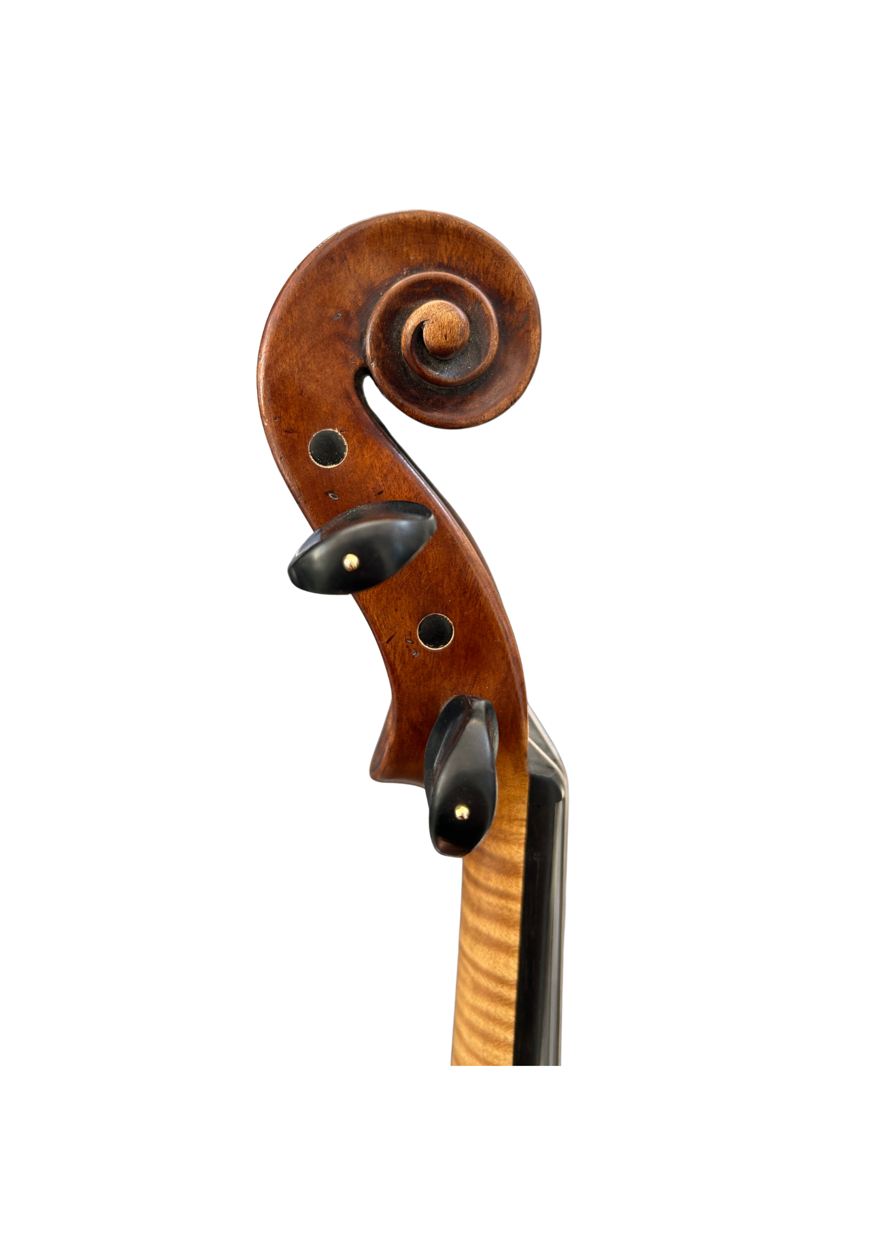 Violin scroll — the test of a maker's patience and control
