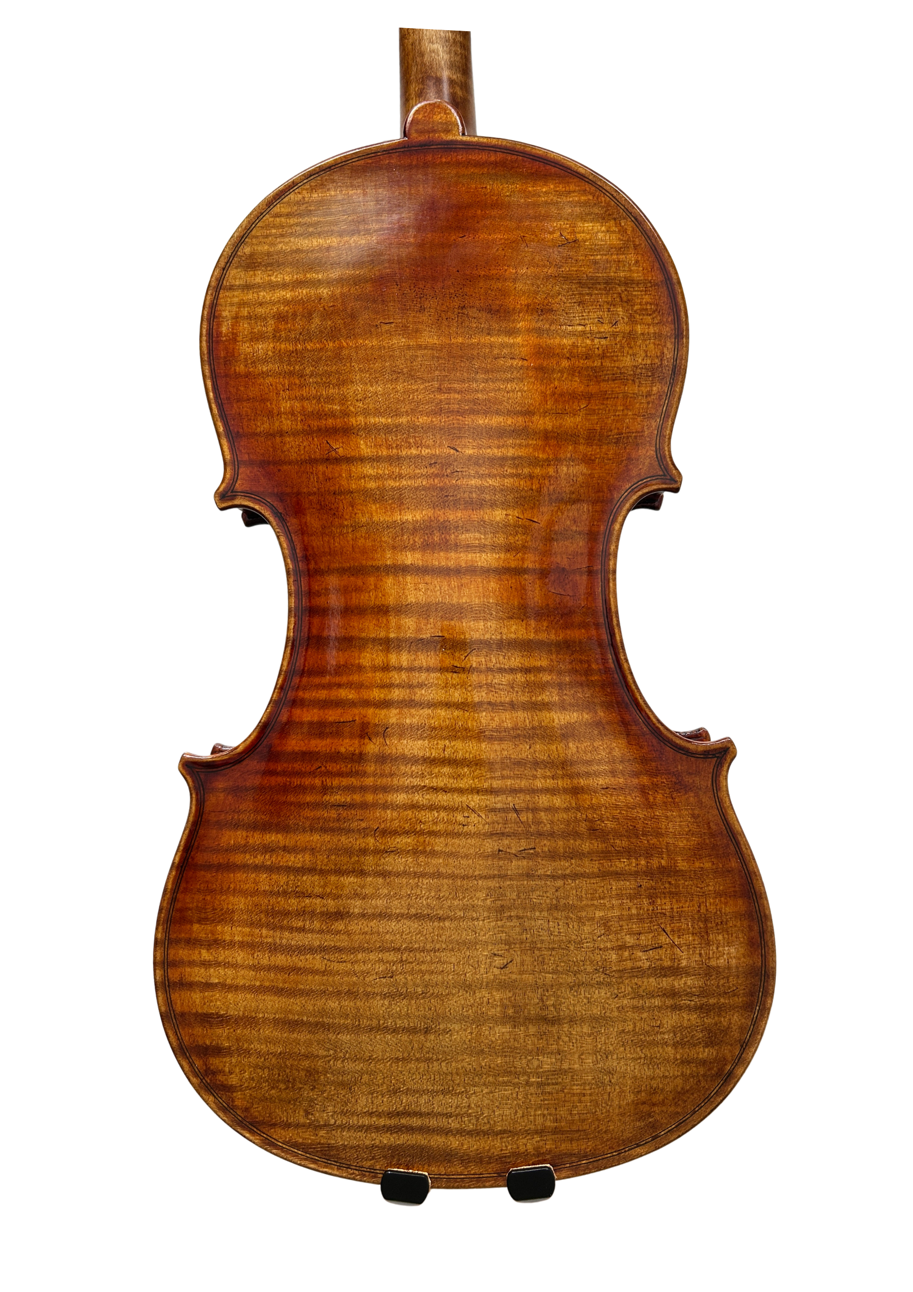 Figured maple back showing oil varnish in warm amber